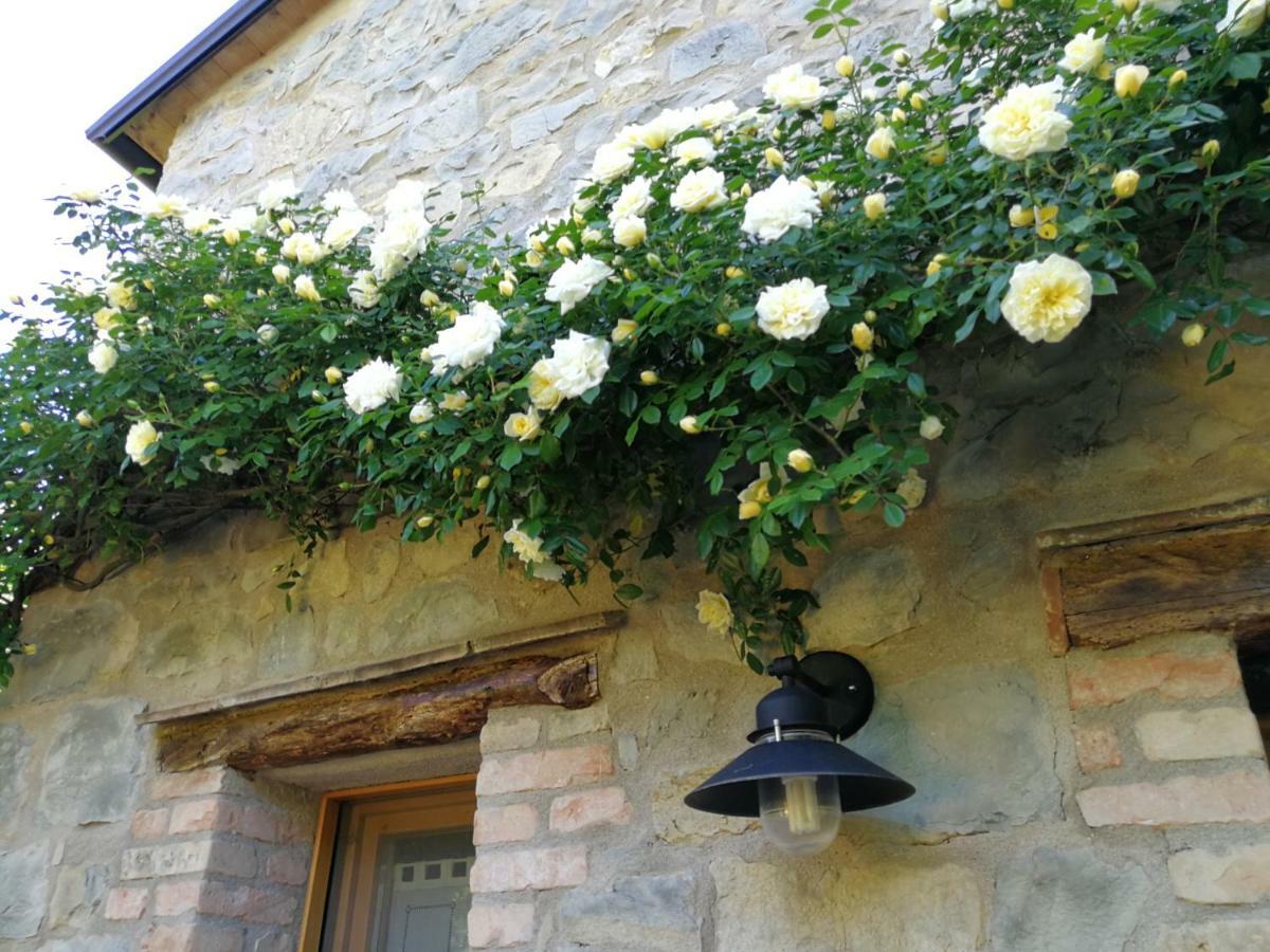 Villa Cà di Minù à Tarzo Extérieur photo